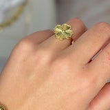 Anello Marygold